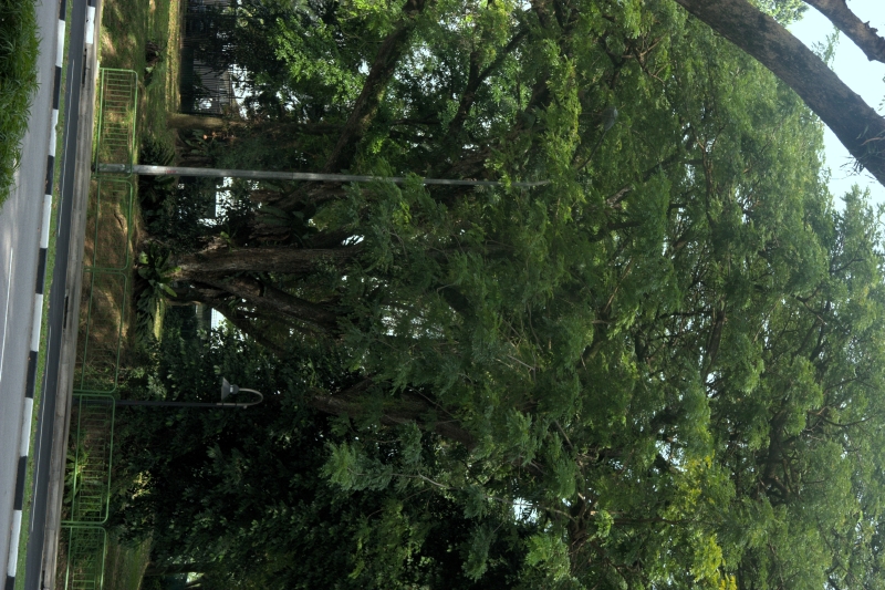 crw_3863.jpg