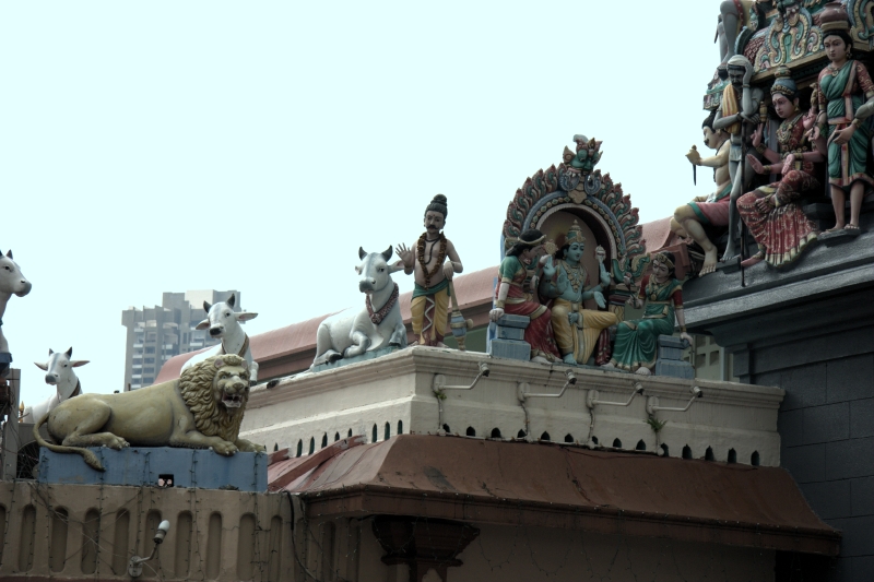 crw_3869.jpg