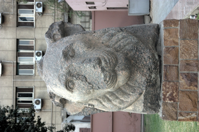 crw_3879.jpg