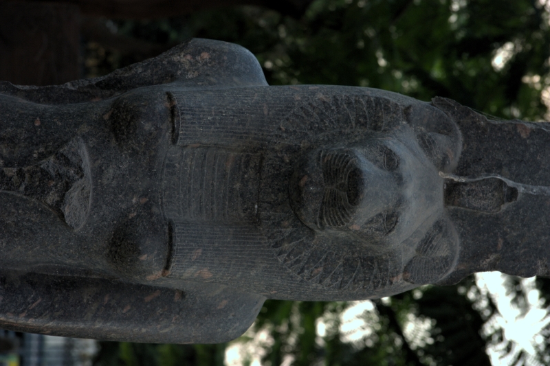 crw_3890.jpg