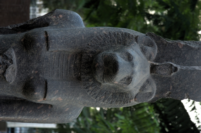 crw_3892.jpg