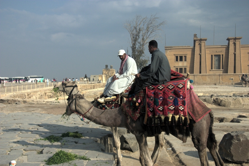 crw_3907.jpg