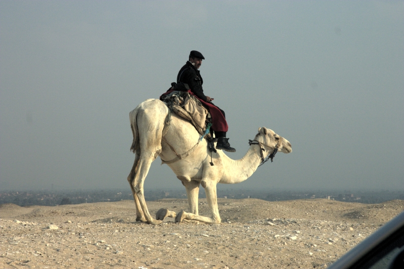 crw_3950.jpg