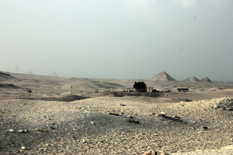 crw_3961.jpg
