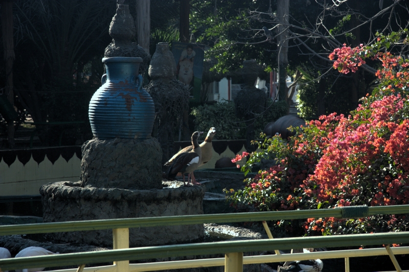 crw_3968.jpg