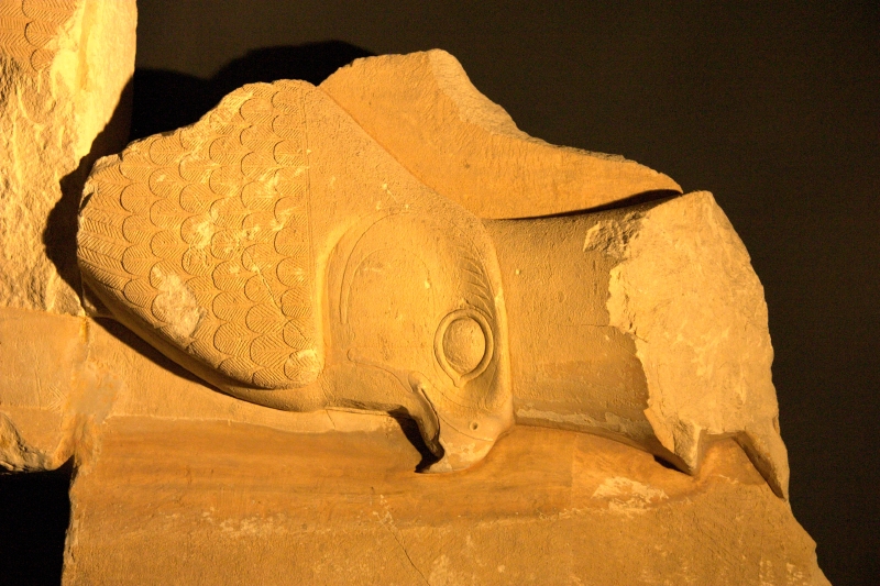 crw_3988.jpg