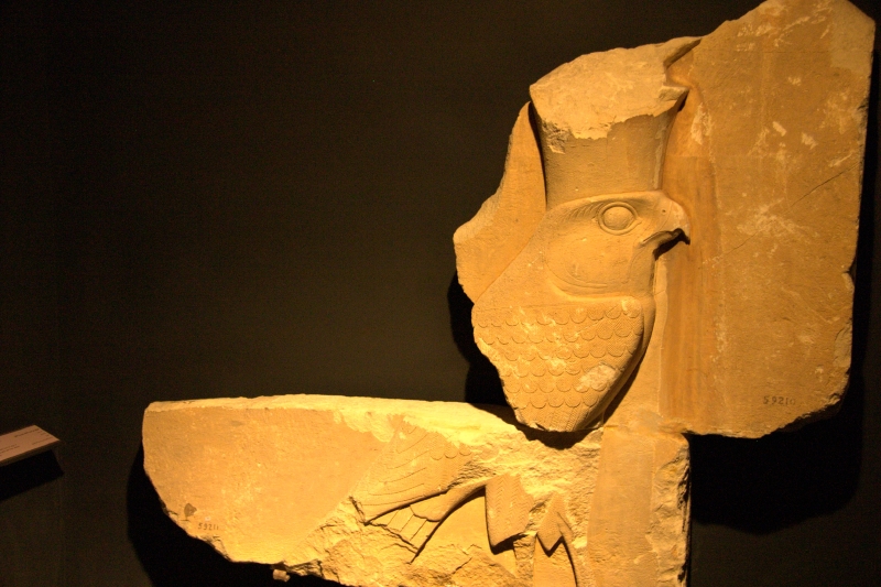crw_3989.jpg