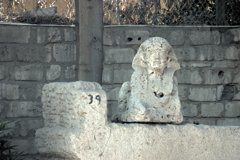 crw_4002.jpg