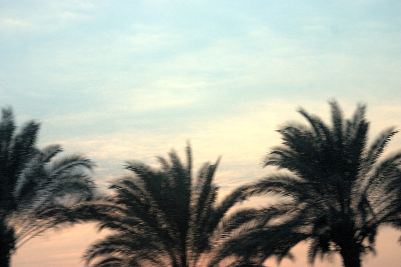 crw_4018.jpg