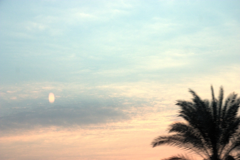 crw_4020.jpg