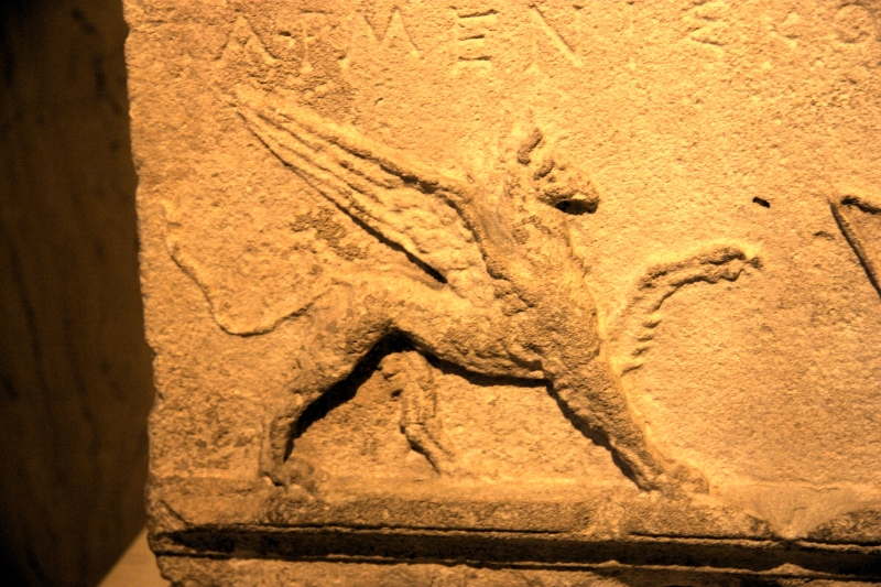 crw_4053.jpg