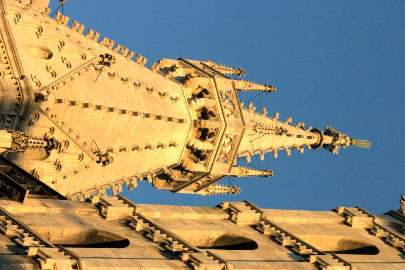 crw_4081.jpg