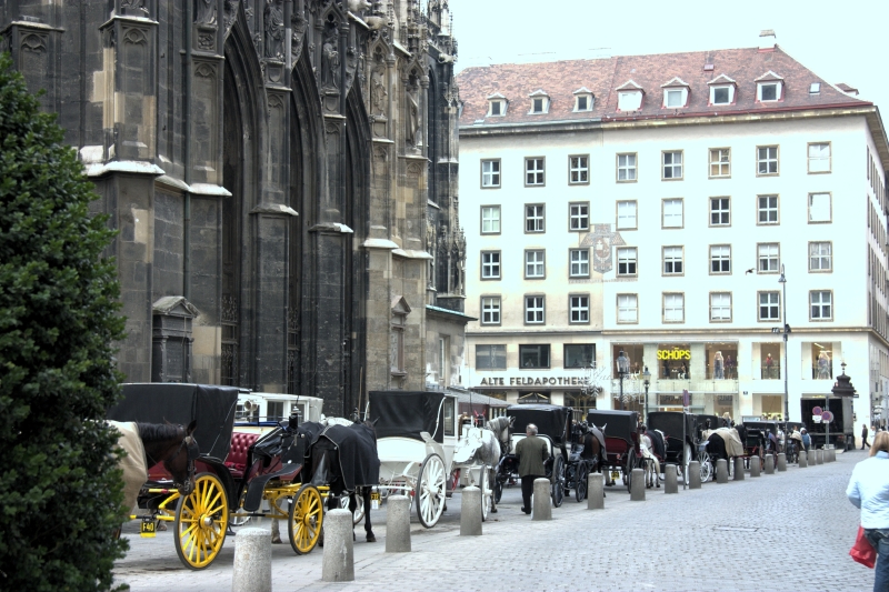 crw_4099.jpg