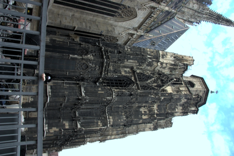 crw_4100.jpg