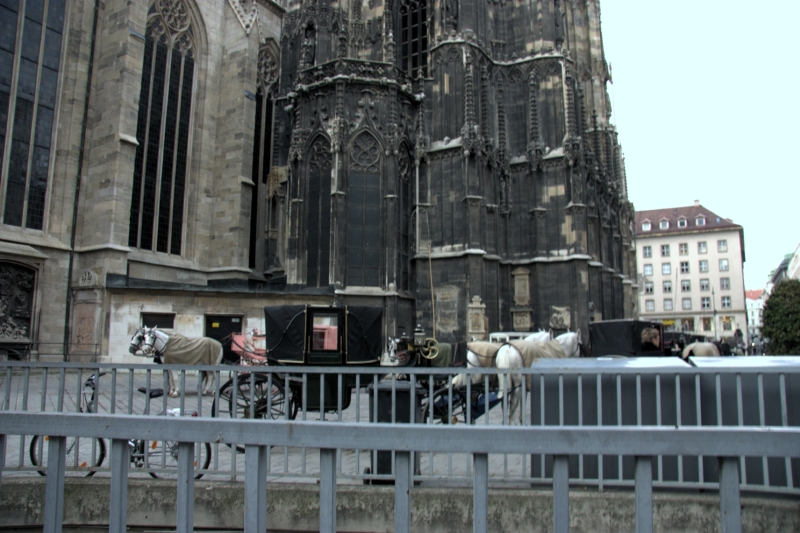 crw_4101.jpg