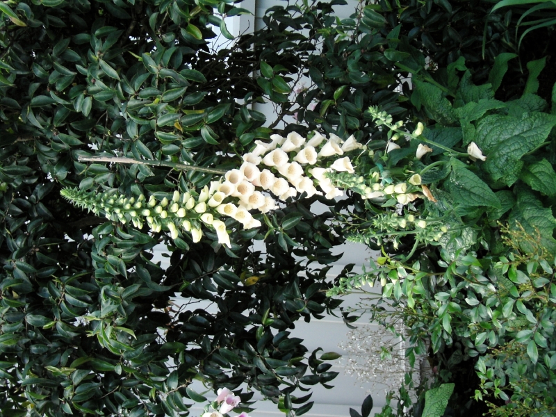kif_0008.jpg