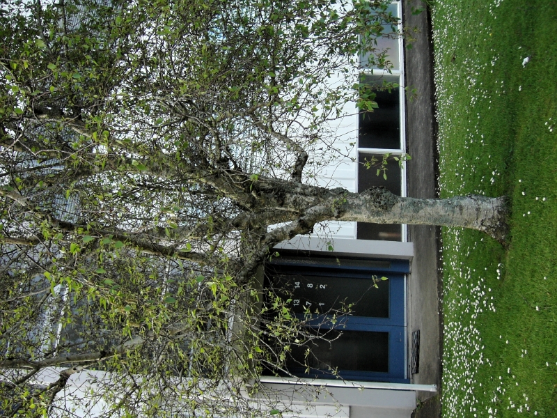kif_0011.jpg