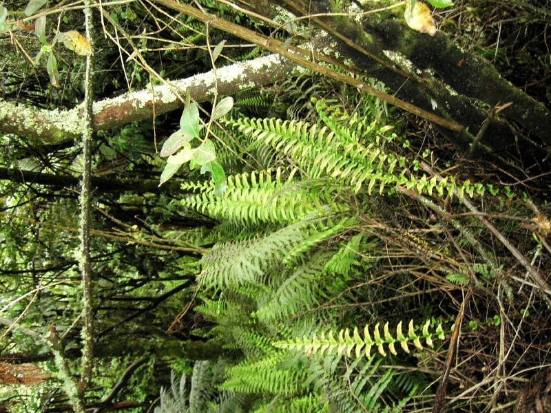 kif_0035.jpg