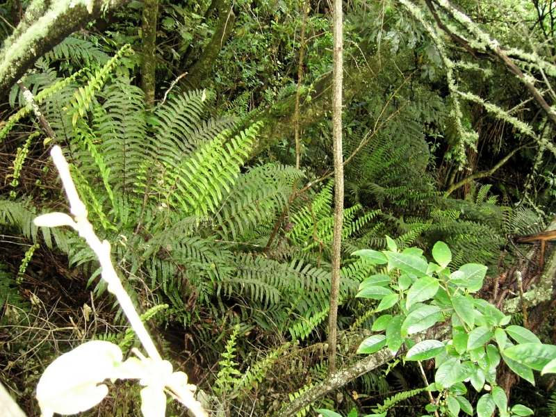 kif_0037.jpg