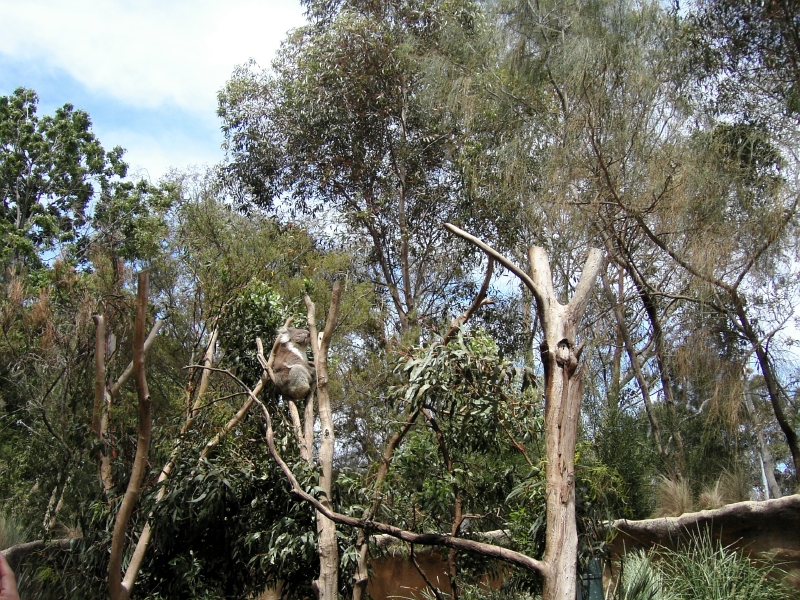 kif_0079.jpg