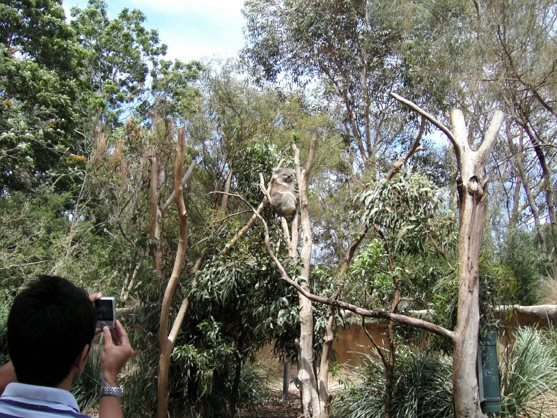kif_0080.jpg