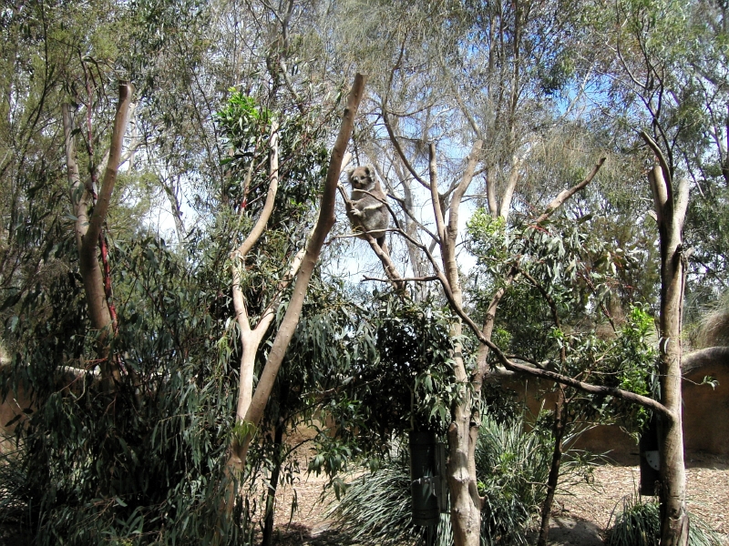 kif_0084.jpg