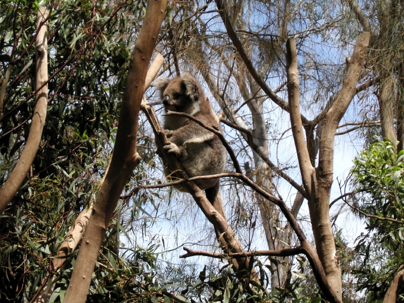 kif_0085.jpg