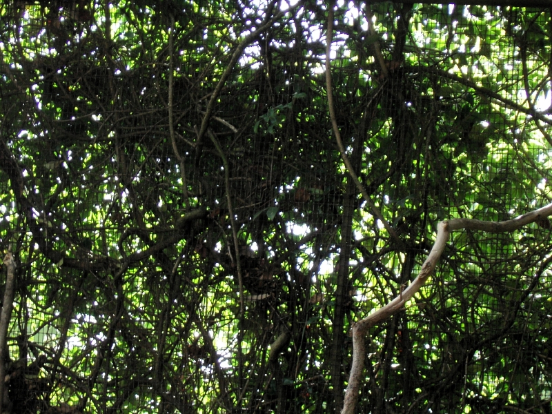 kif_0090.jpg