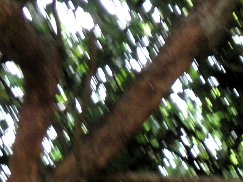 kif_0091.jpg