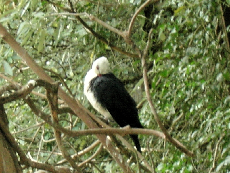 kif_0092.jpg