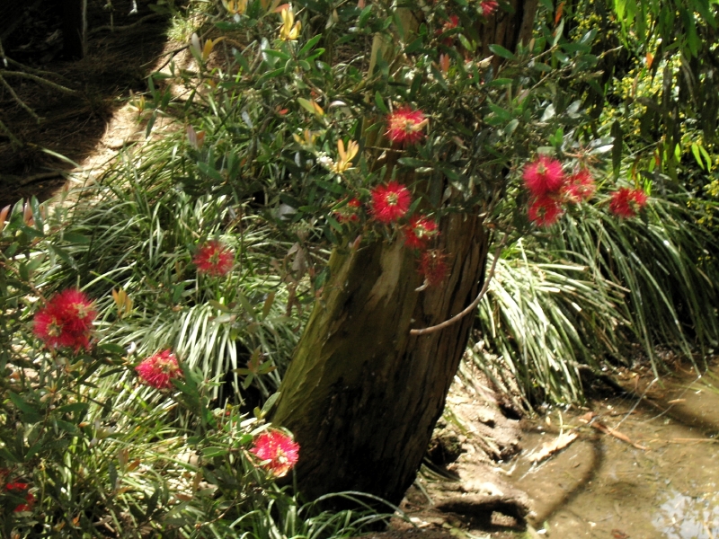 kif_0094.jpg