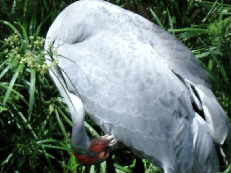 kif_0099.jpg