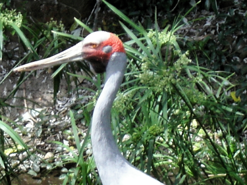 kif_0100.jpg