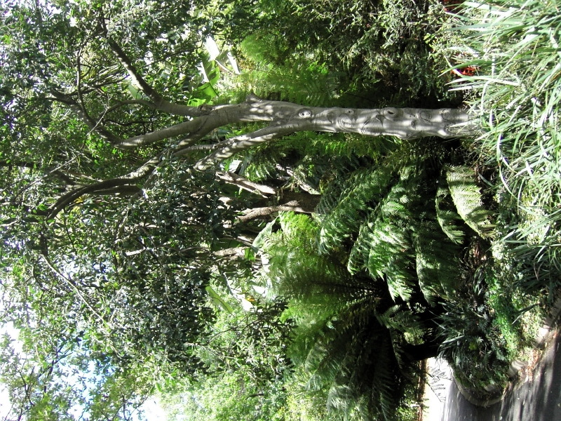 kif_0120.jpg