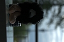 crw_3425.jpg