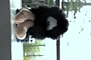 crw_3427.jpg