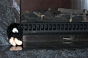 crw_3431.jpg
