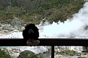 crw_3437.jpg