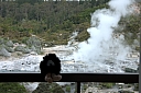 crw_3439.jpg