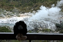 crw_3440.jpg