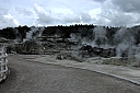 crw_3450.jpg