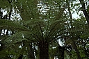 crw_3452.jpg