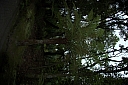 crw_3453.jpg