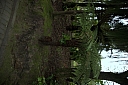 crw_3454.jpg
