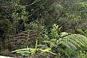 crw_3456.jpg