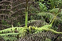 crw_3457.jpg