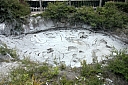 crw_3458.jpg
