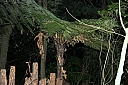 crw_3481.jpg
