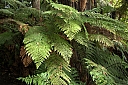 crw_3511.jpg