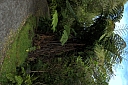 crw_3513.jpg
